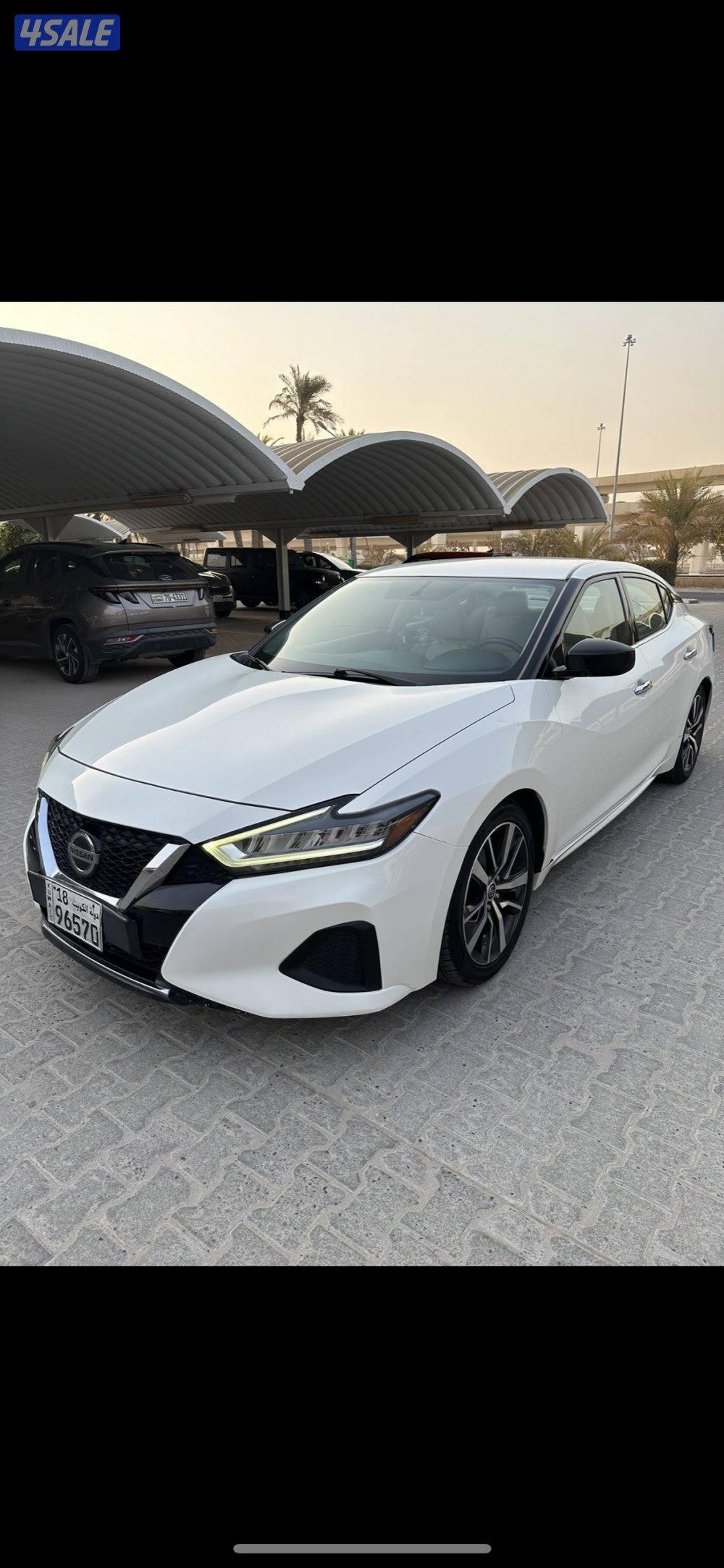 مكسيما  ٢٠١٩ سبورت بحاله ممتازة0