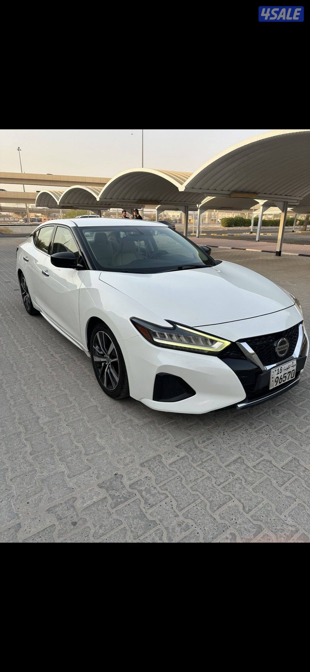 مكسيما  ٢٠١٩ سبورت بحاله ممتازة2