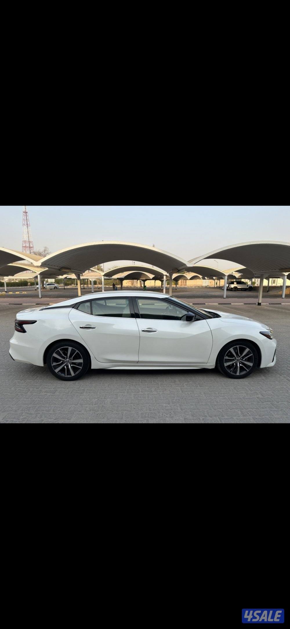 مكسيما  ٢٠١٩ سبورت بحاله ممتازة3