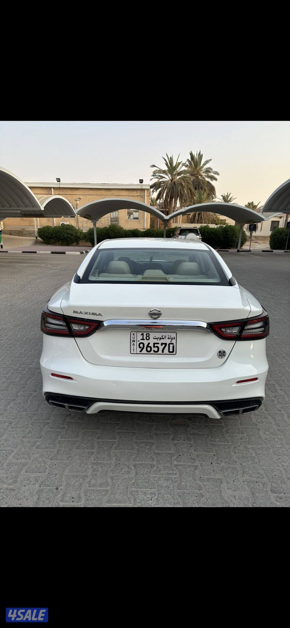 مكسيما  ٢٠١٩ سبورت بحاله ممتازة5