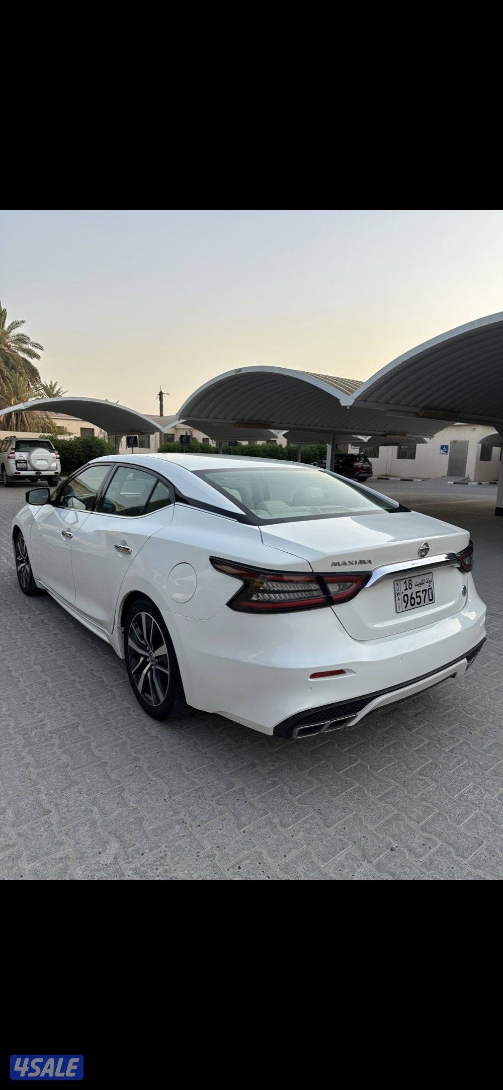 مكسيما  ٢٠١٩ سبورت بحاله ممتازة7