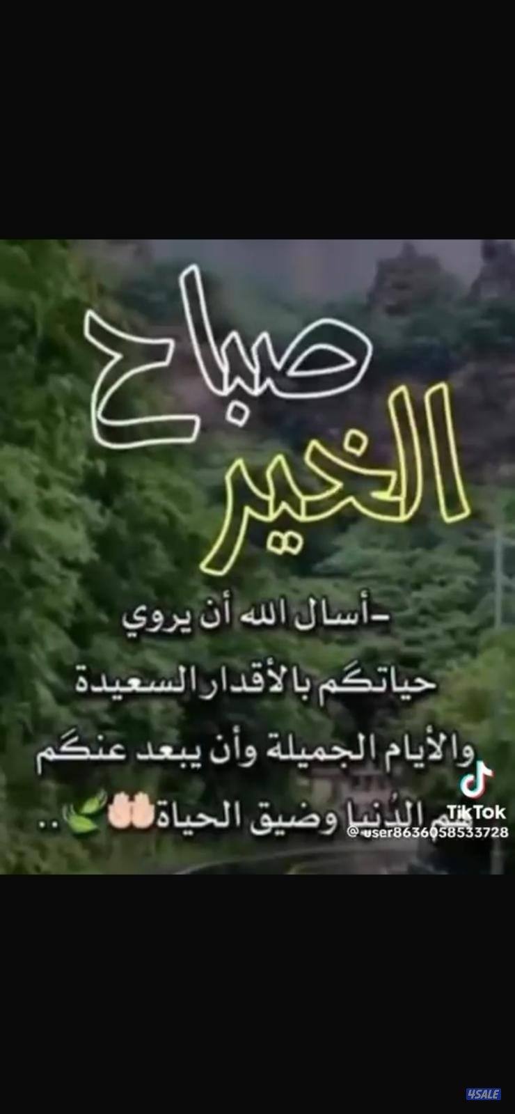 طلب اسكاني0