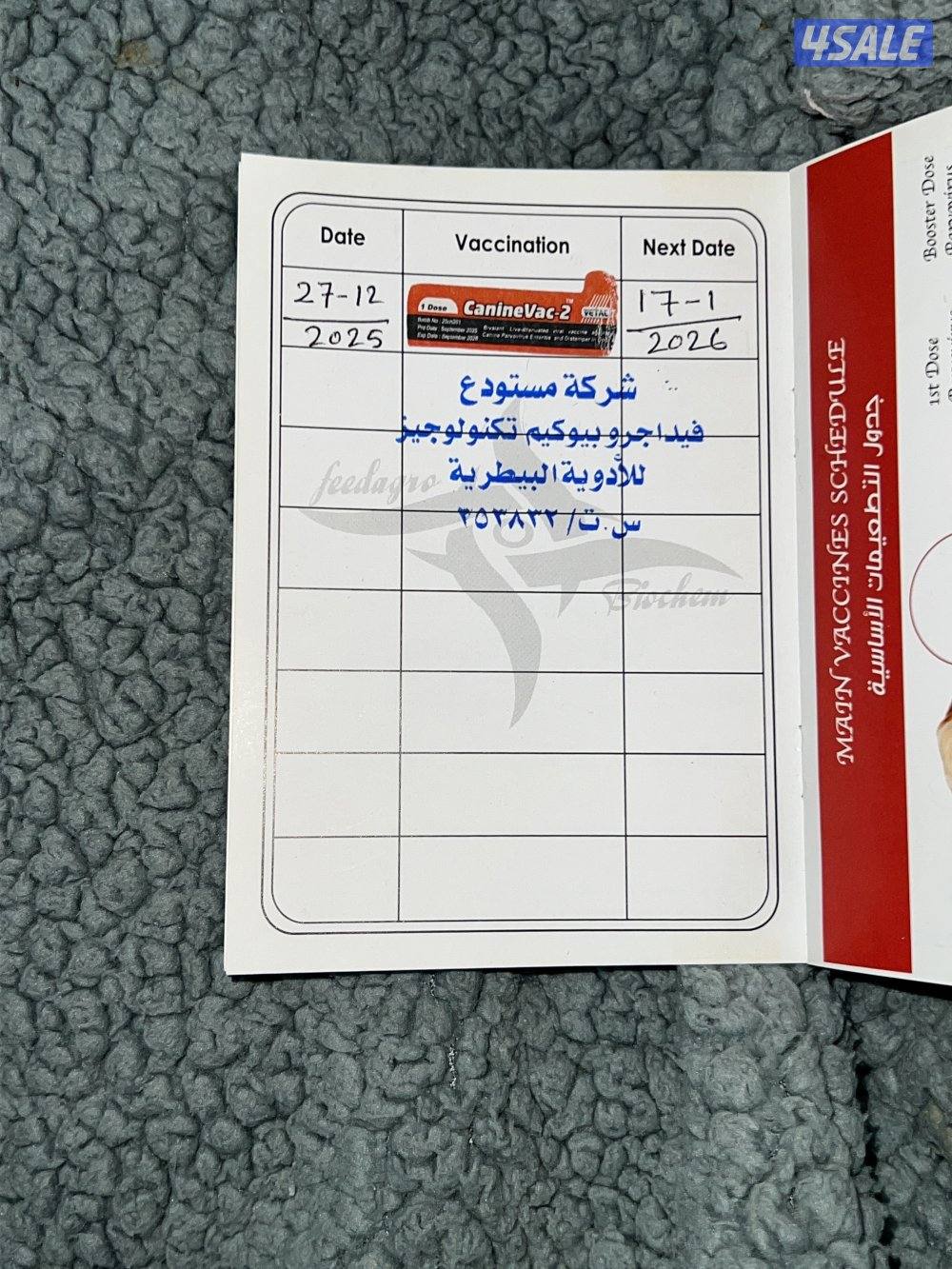 للبيع كلب العمر ٣ شهور ونص النوع شيه تزوا شيه تزو مطعم التطعيم الاول .4