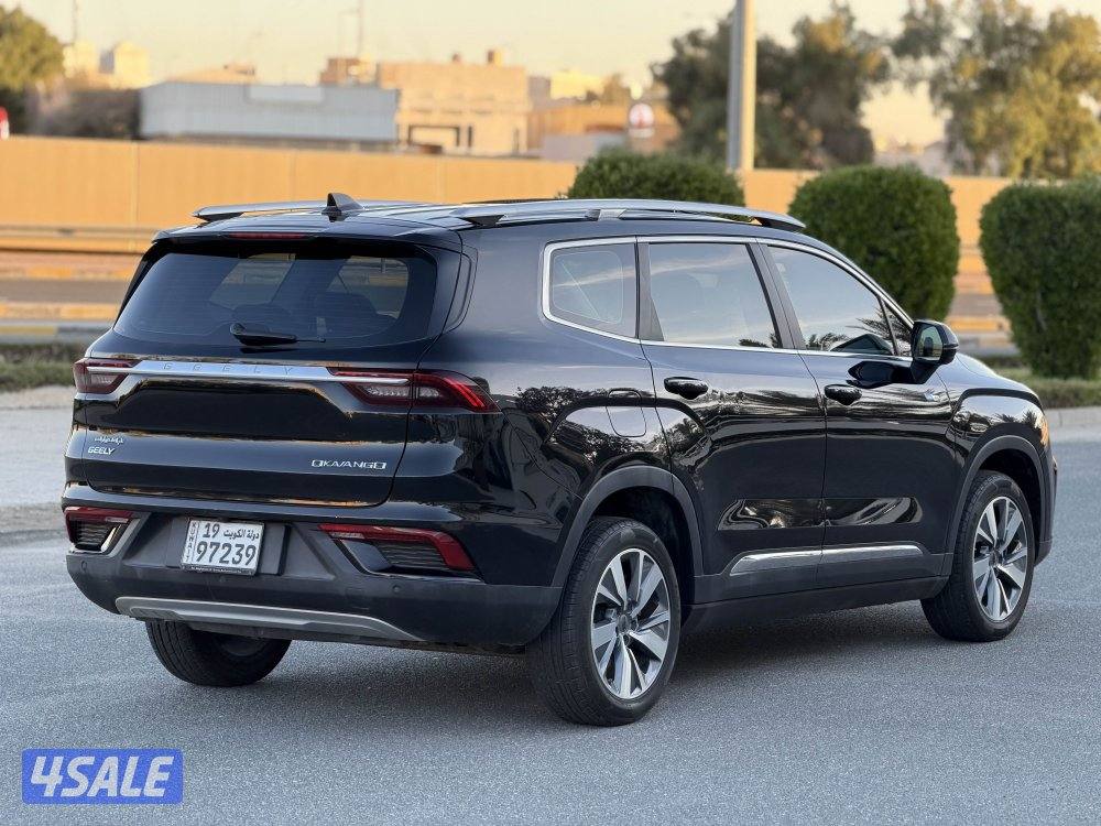 جيلي اوكافانقو 2022 (( صبغ الوكالة بالكامل ))4