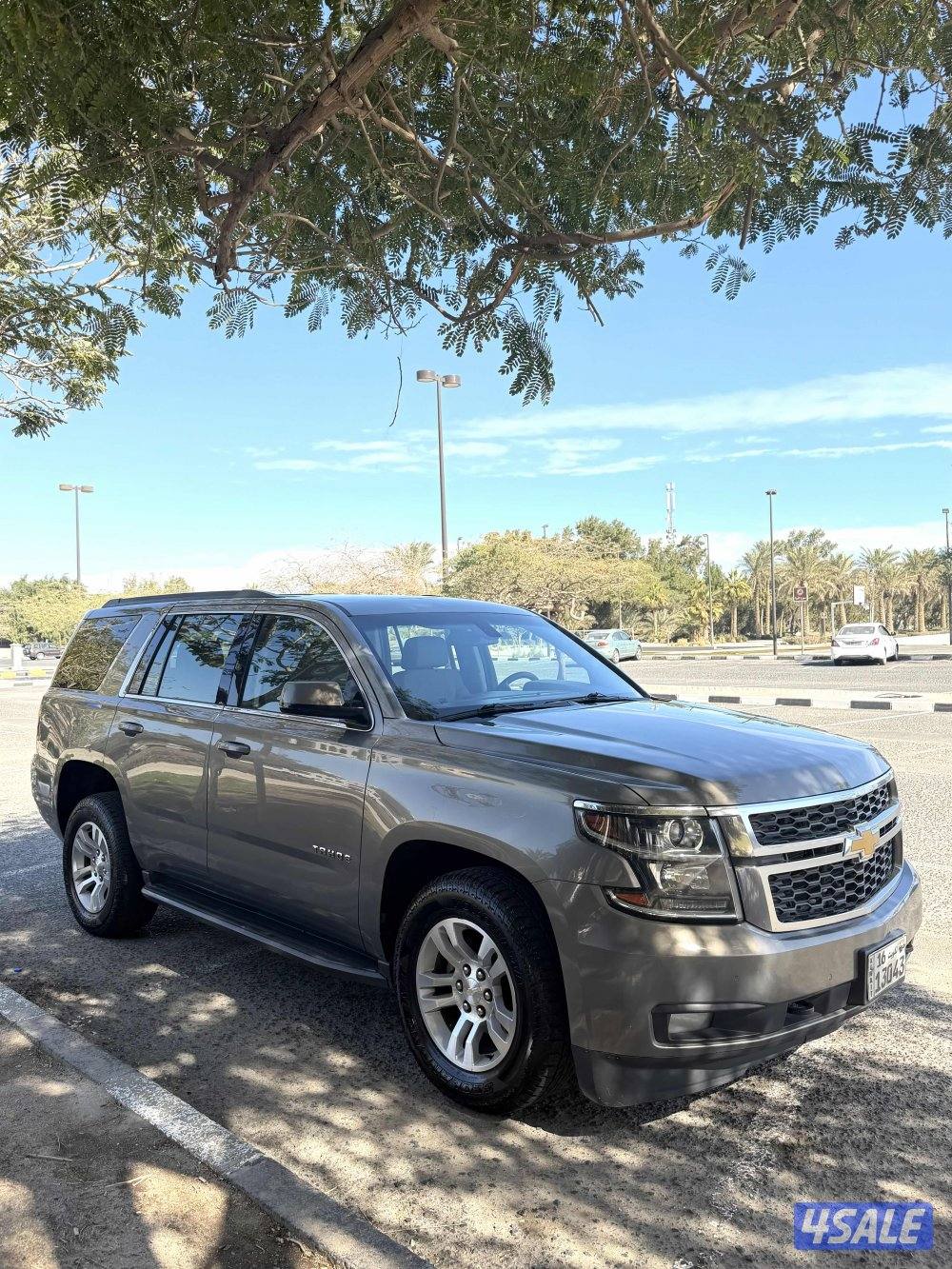 صبغ الوكاله2