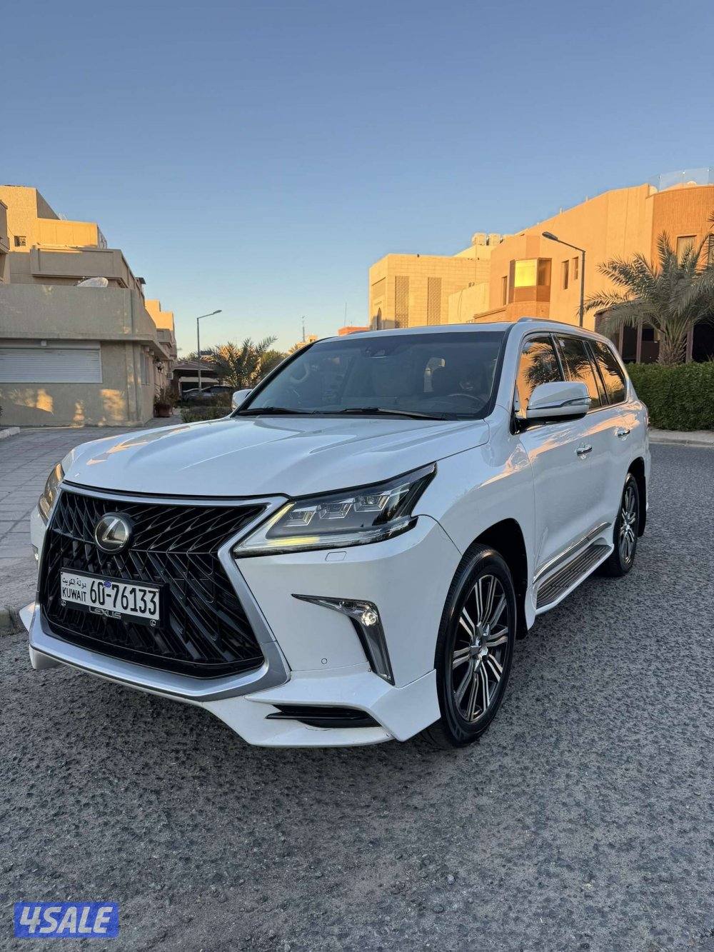 الدرجه الأولى صبغ الوكاله عدى قطعتين عداد2070