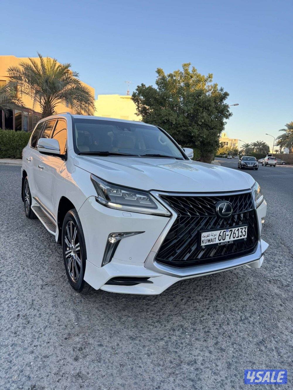 الدرجه الأولى صبغ الوكاله عدى قطعتين عداد2071