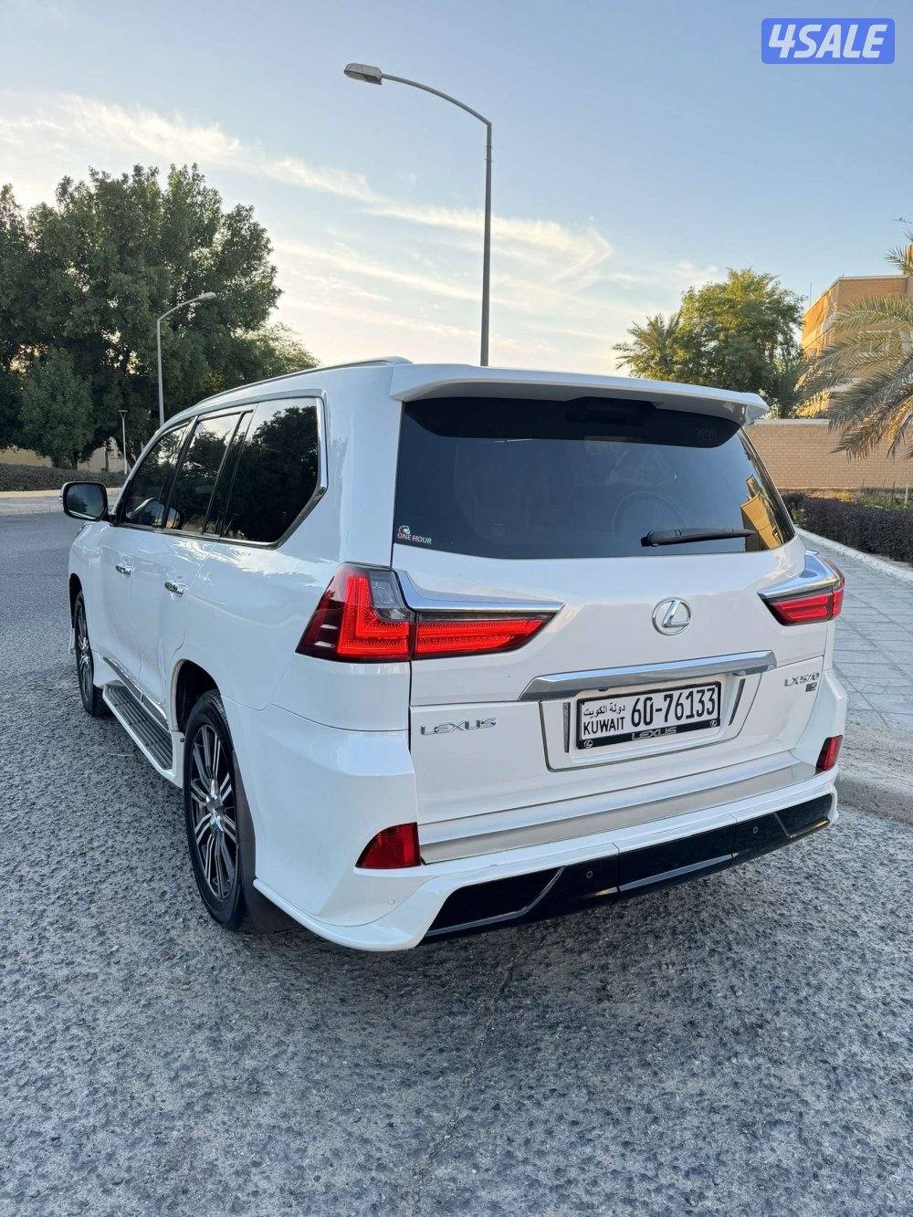 الدرجه الأولى صبغ الوكاله عدى قطعتين عداد2073