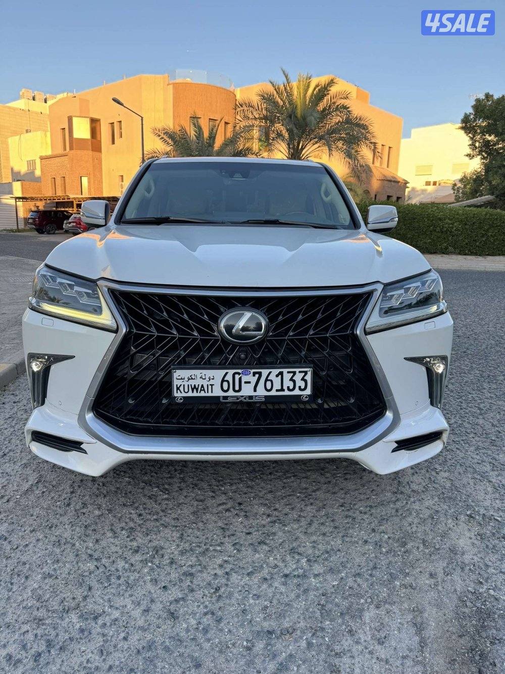 الدرجه الأولى صبغ الوكاله عدى قطعتين عداد2076