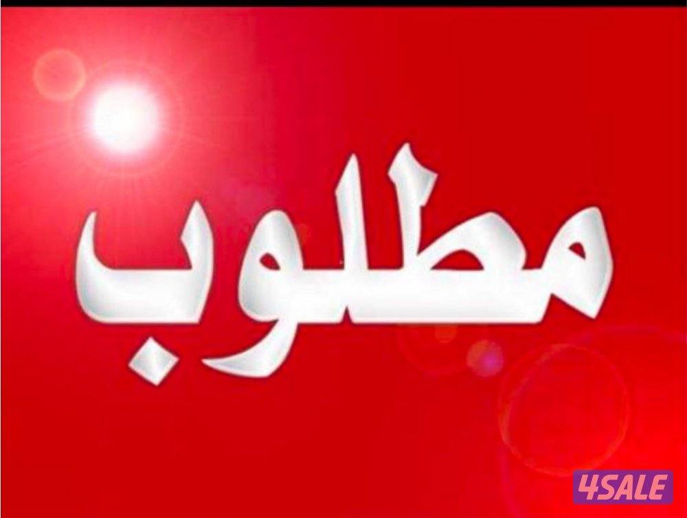 مطلوب ايفون 17بروماكس256 برتقالي عربي انجليزي او16بروماكس0