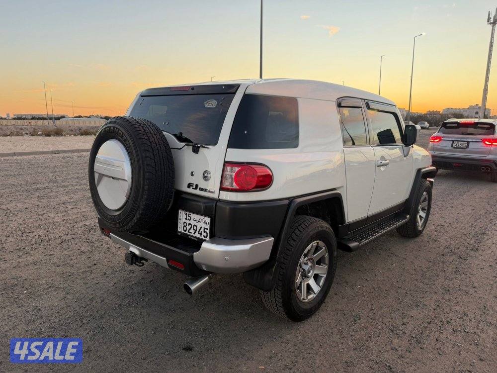 اف جي 2017 صبغ وكالة0