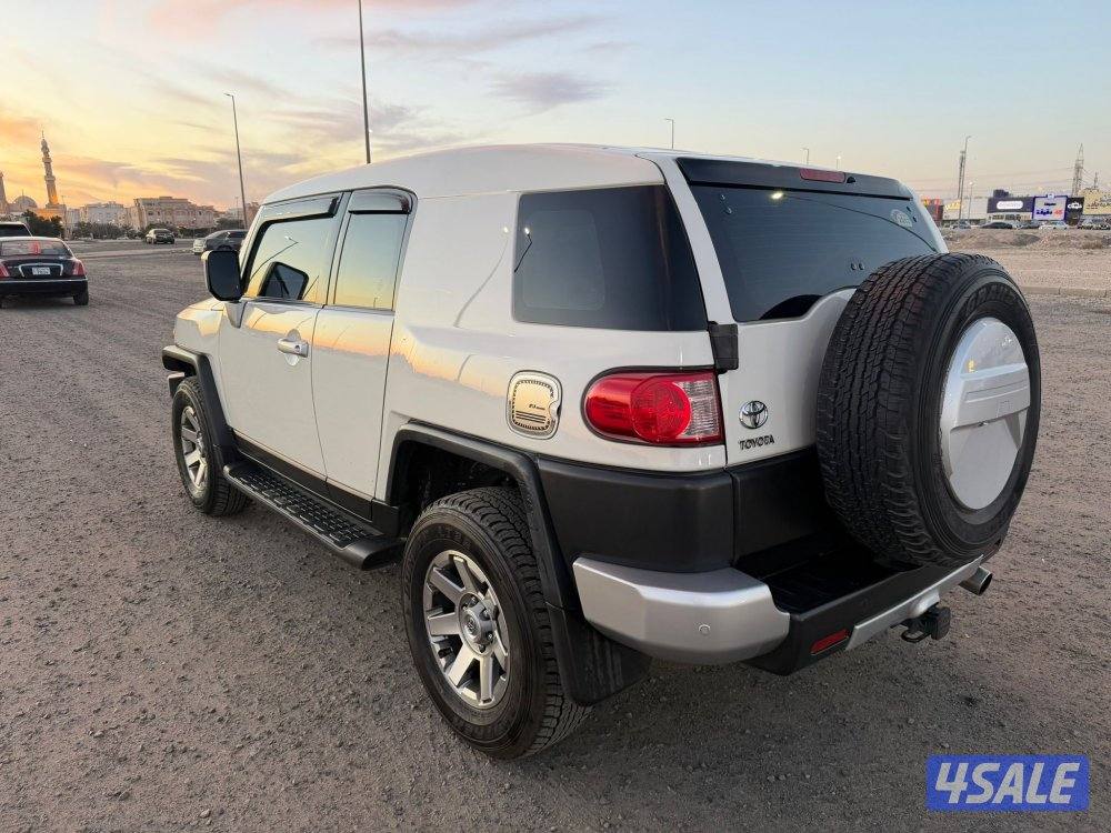 اف جي 2017 صبغ وكالة1