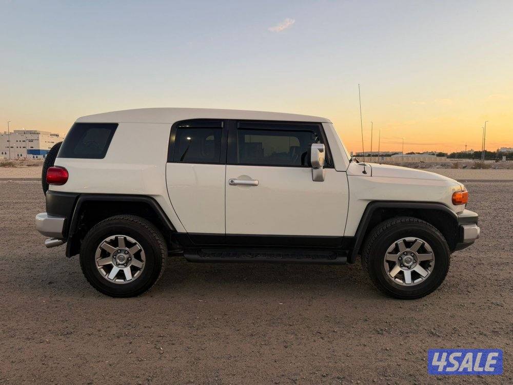 اف جي 2017 صبغ وكالة4