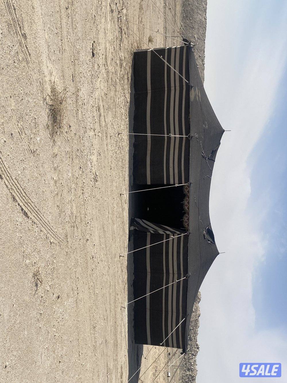 للبيع بيت شعر عدد ٢ مع ماطور حجم ١٢٠٠1