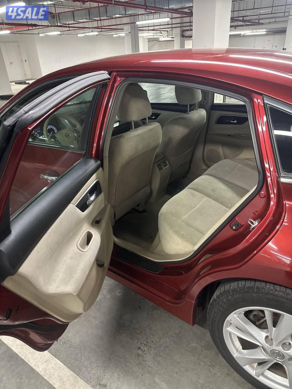 التيما مديل 20131