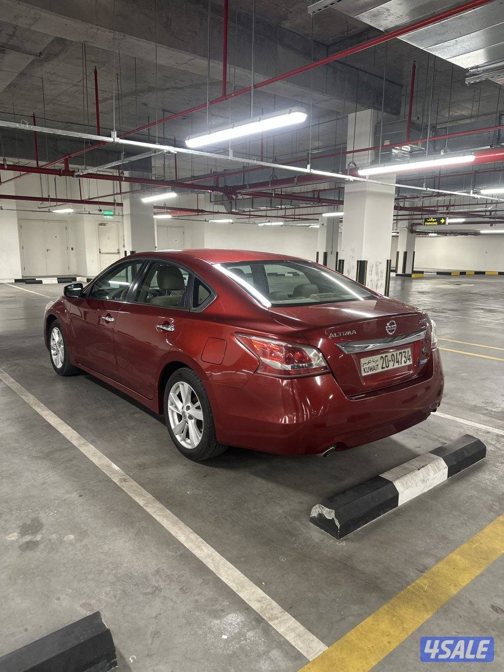 التيما مديل 20132