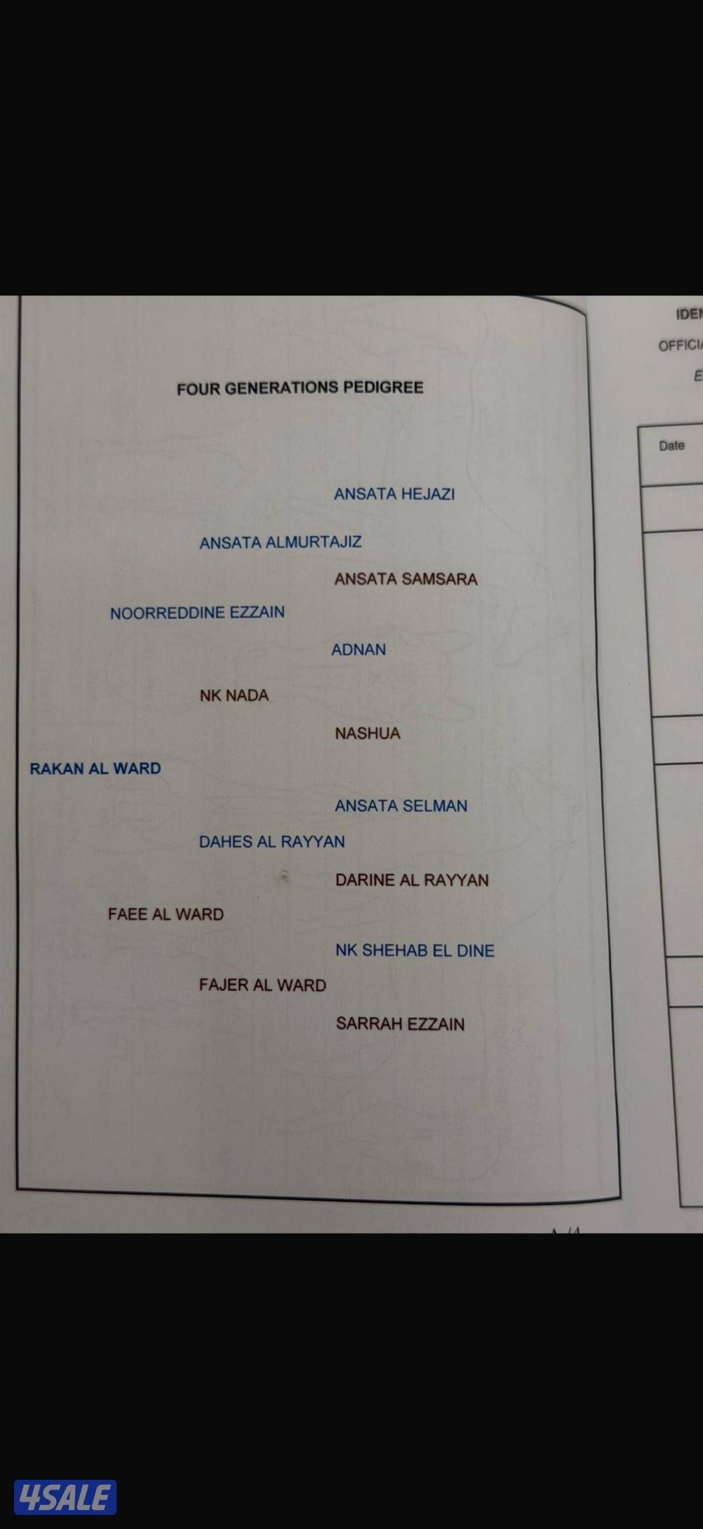 مصري بيور شرط السلم والتحويل1