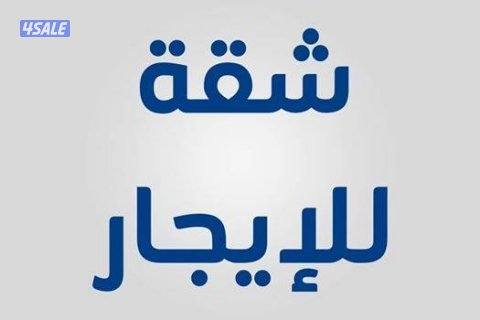 للايجار شقه في الرقه0