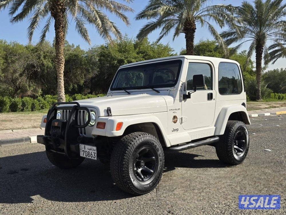 رانجلر صحارى 1998 صبغ الوكاله3