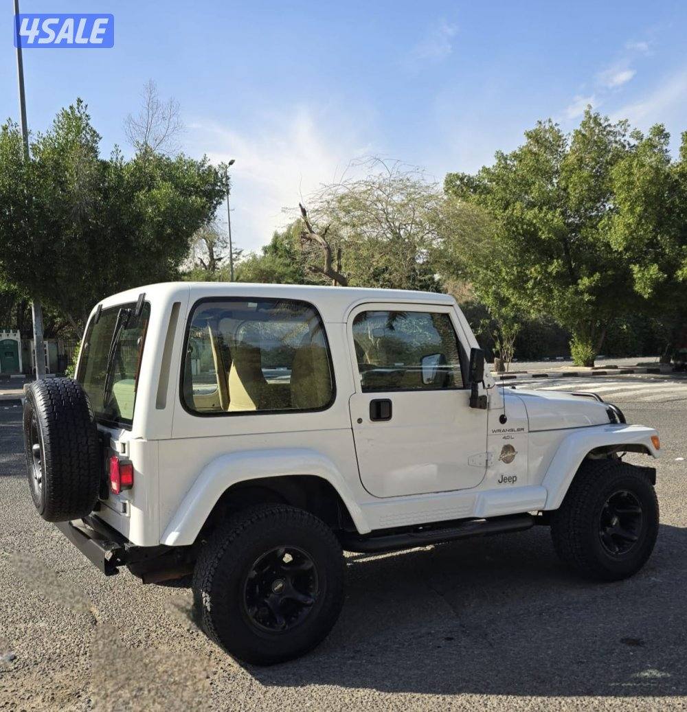 رانجلر صحارى 1998 صبغ الوكاله4