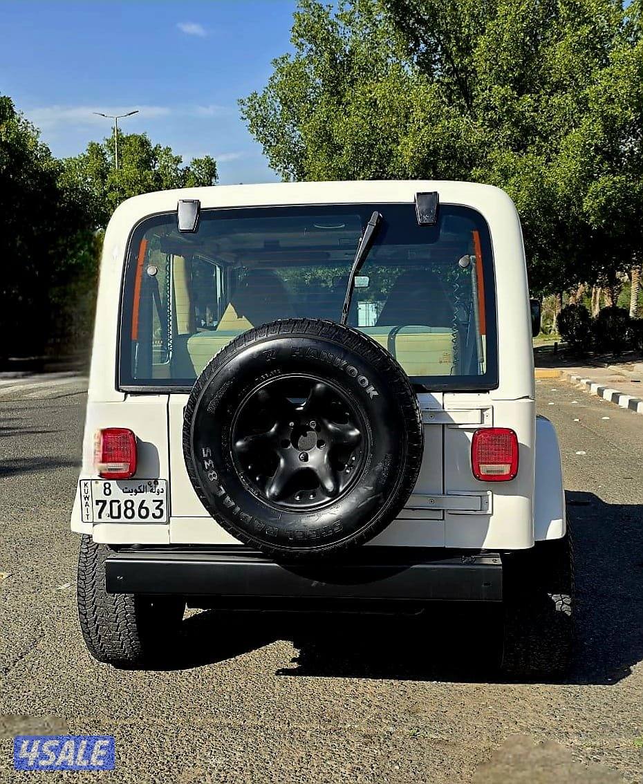 رانجلر صحارى 1998 صبغ الوكاله5