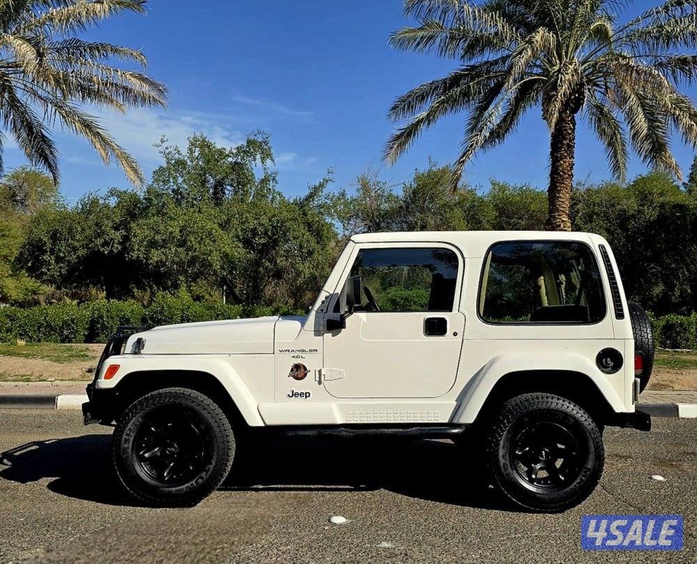 رانجلر صحارى 1998 صبغ الوكاله6