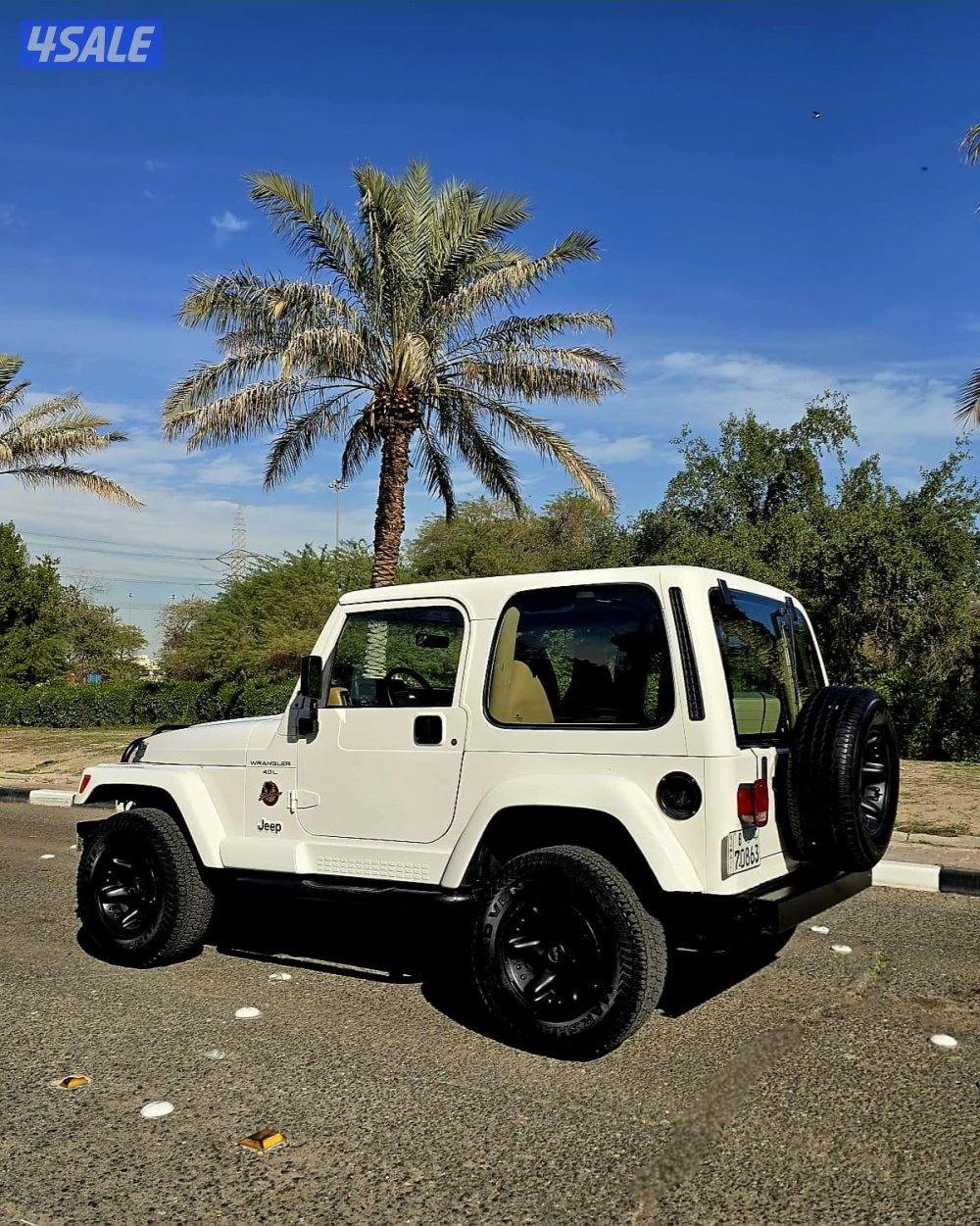 رانجلر صحارى 1998 صبغ الوكاله7