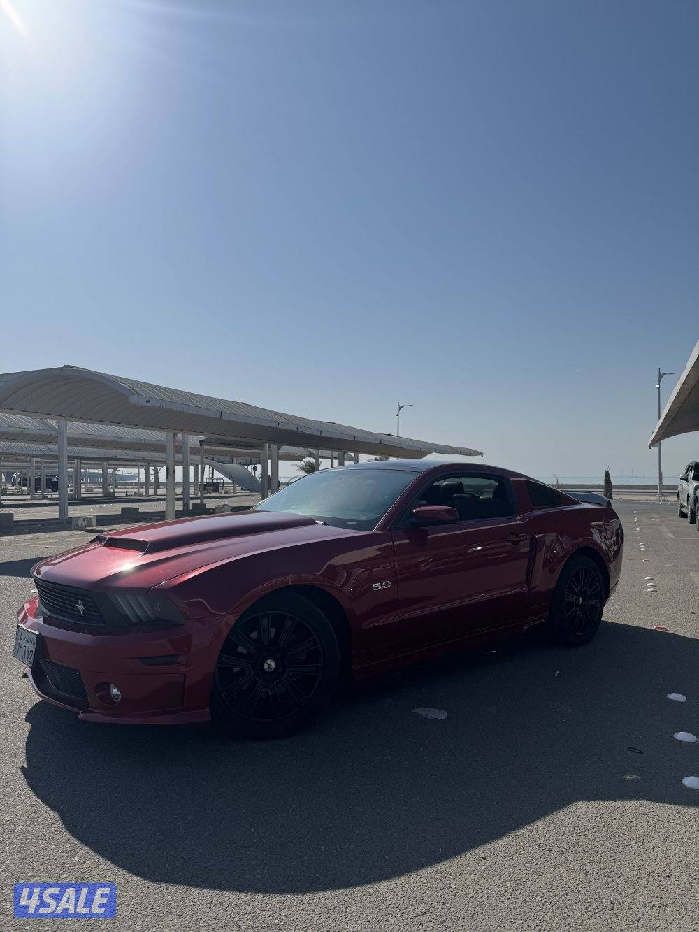 للبيع فقط موستنق ٢٠١١ قير عادي بنوراما كامل المواصفات1