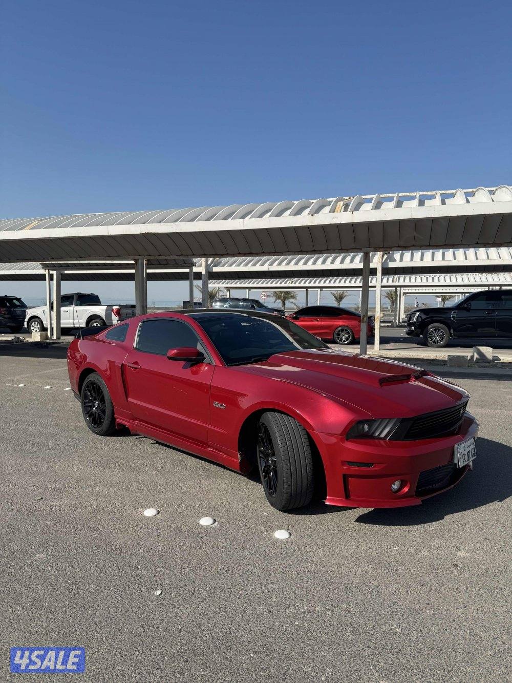 للبيع فقط موستنق ٢٠١١ قير عادي بنوراما كامل المواصفات2