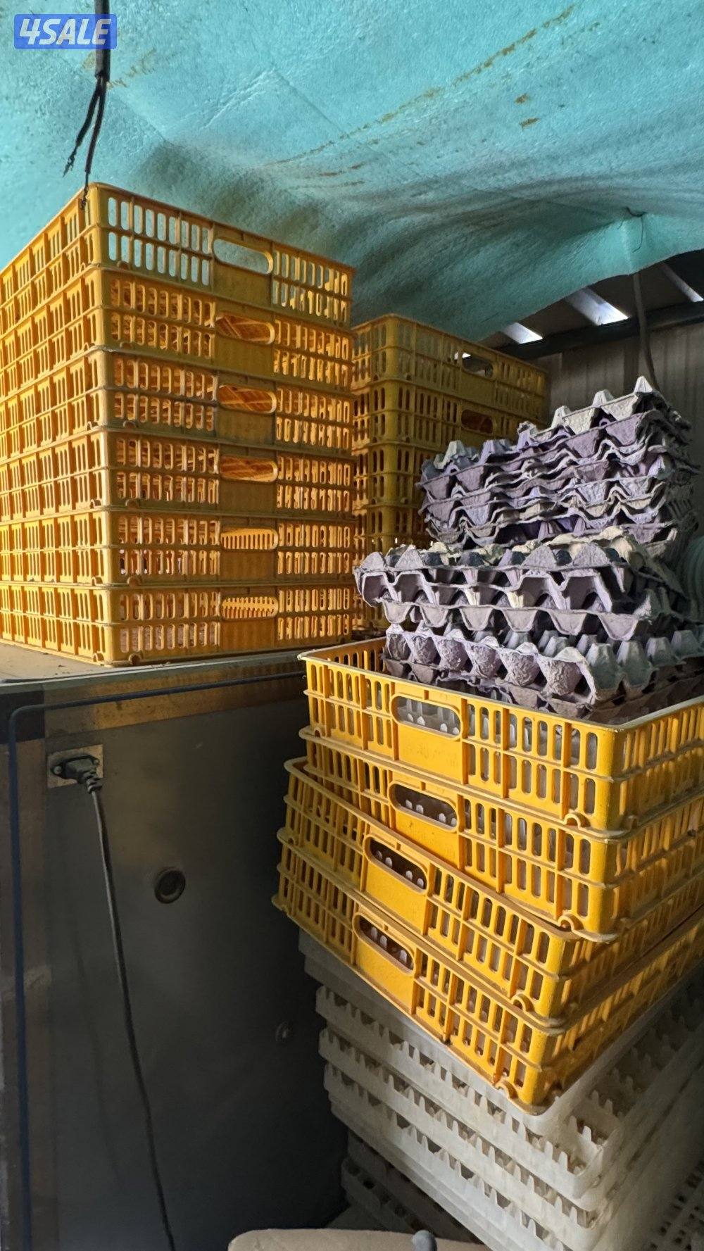 فقاسة صغيره وكبيره8