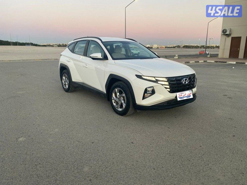 توسان 2023 صبغ وكاله0