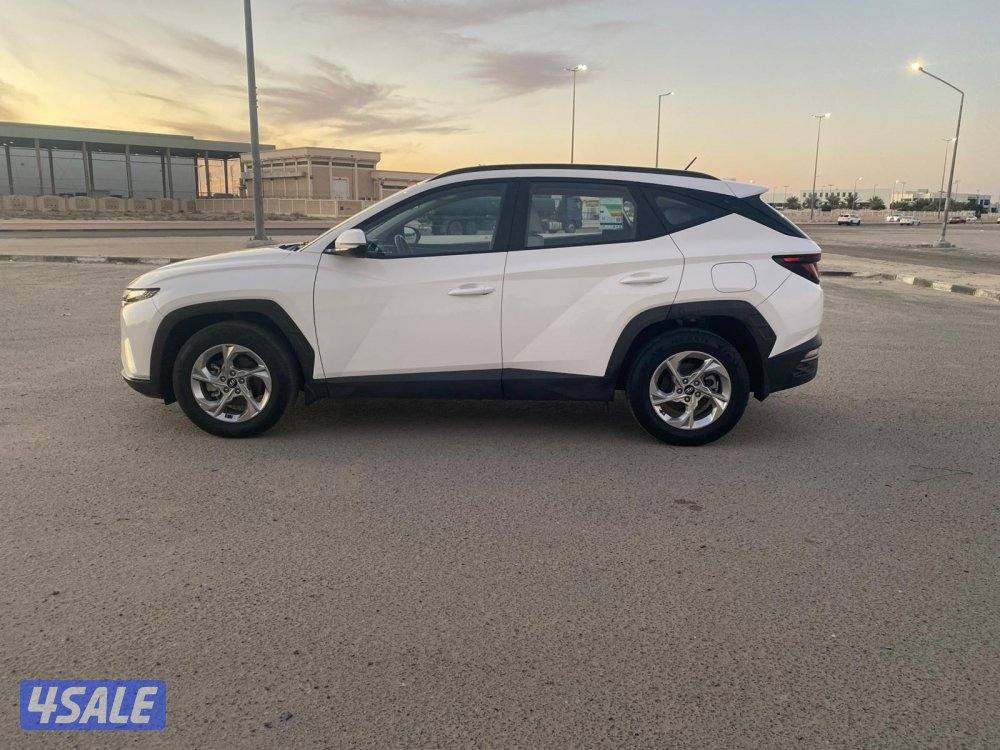 توسان 2023 صبغ وكاله4