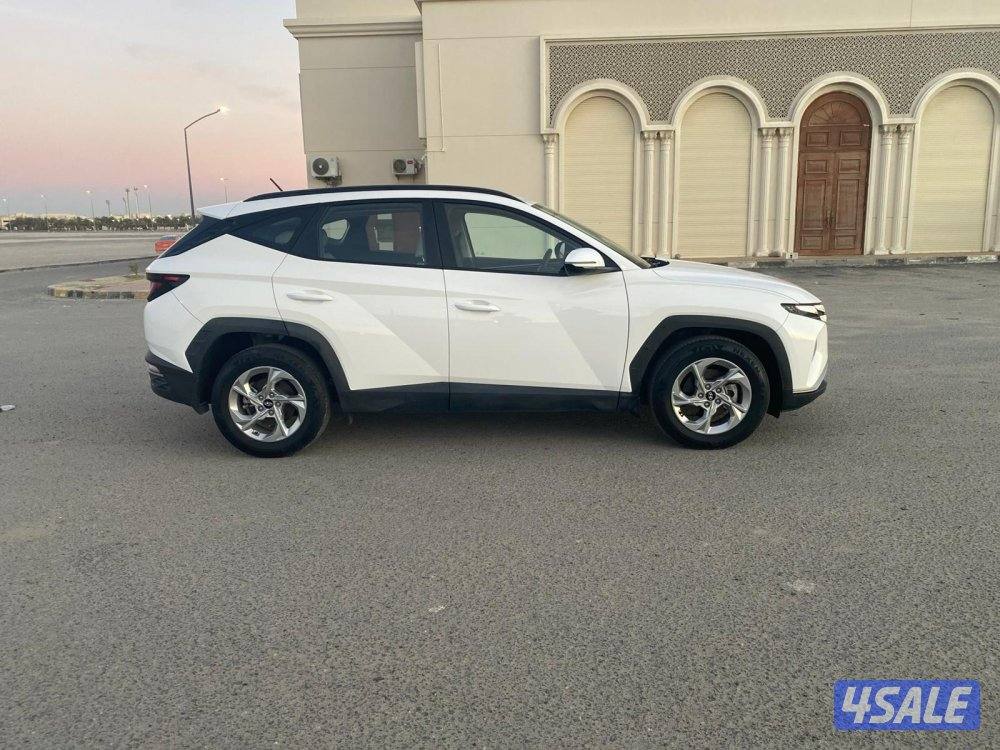 توسان 2023 صبغ وكاله7