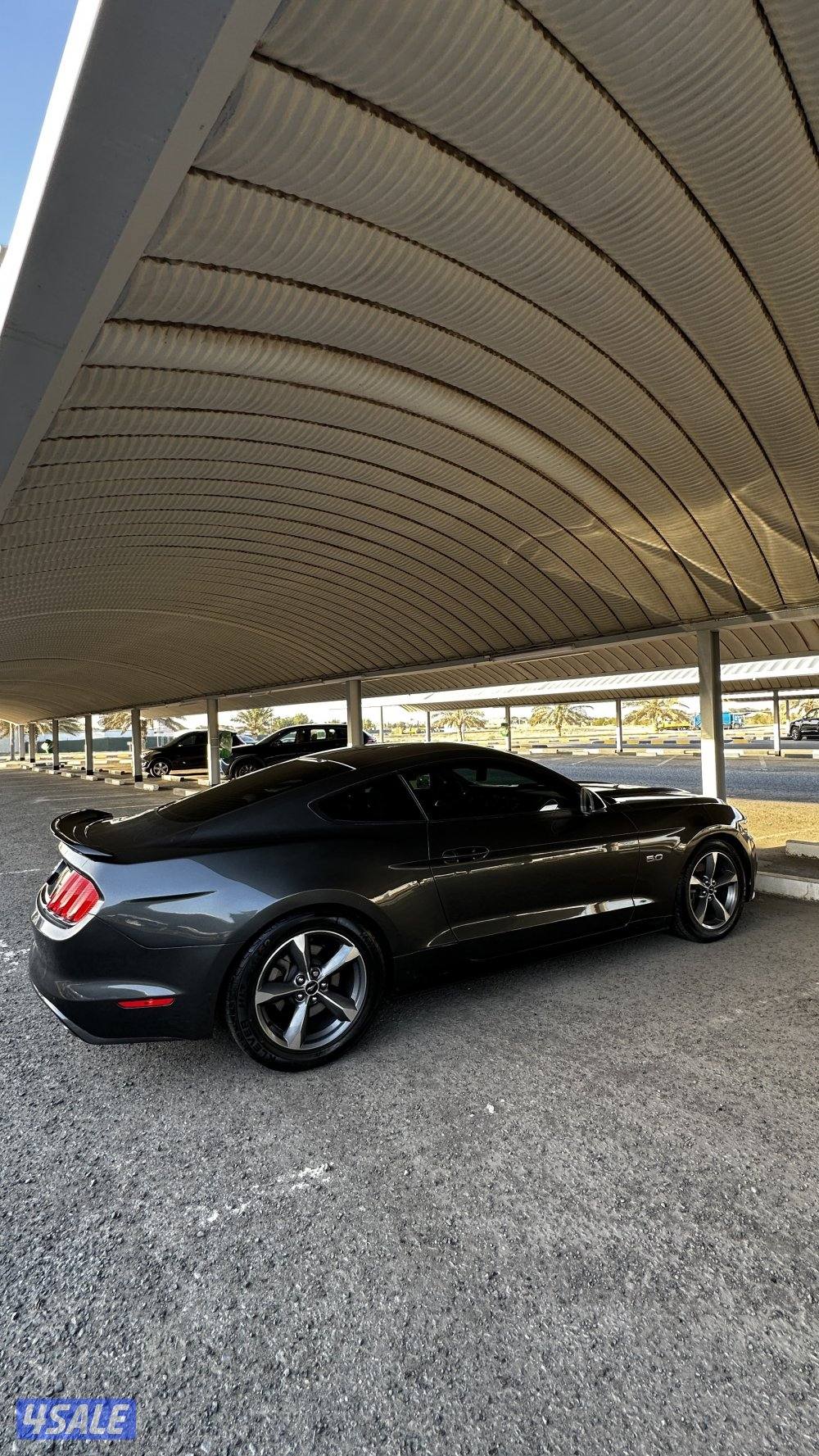 للبيع موستنق 20173