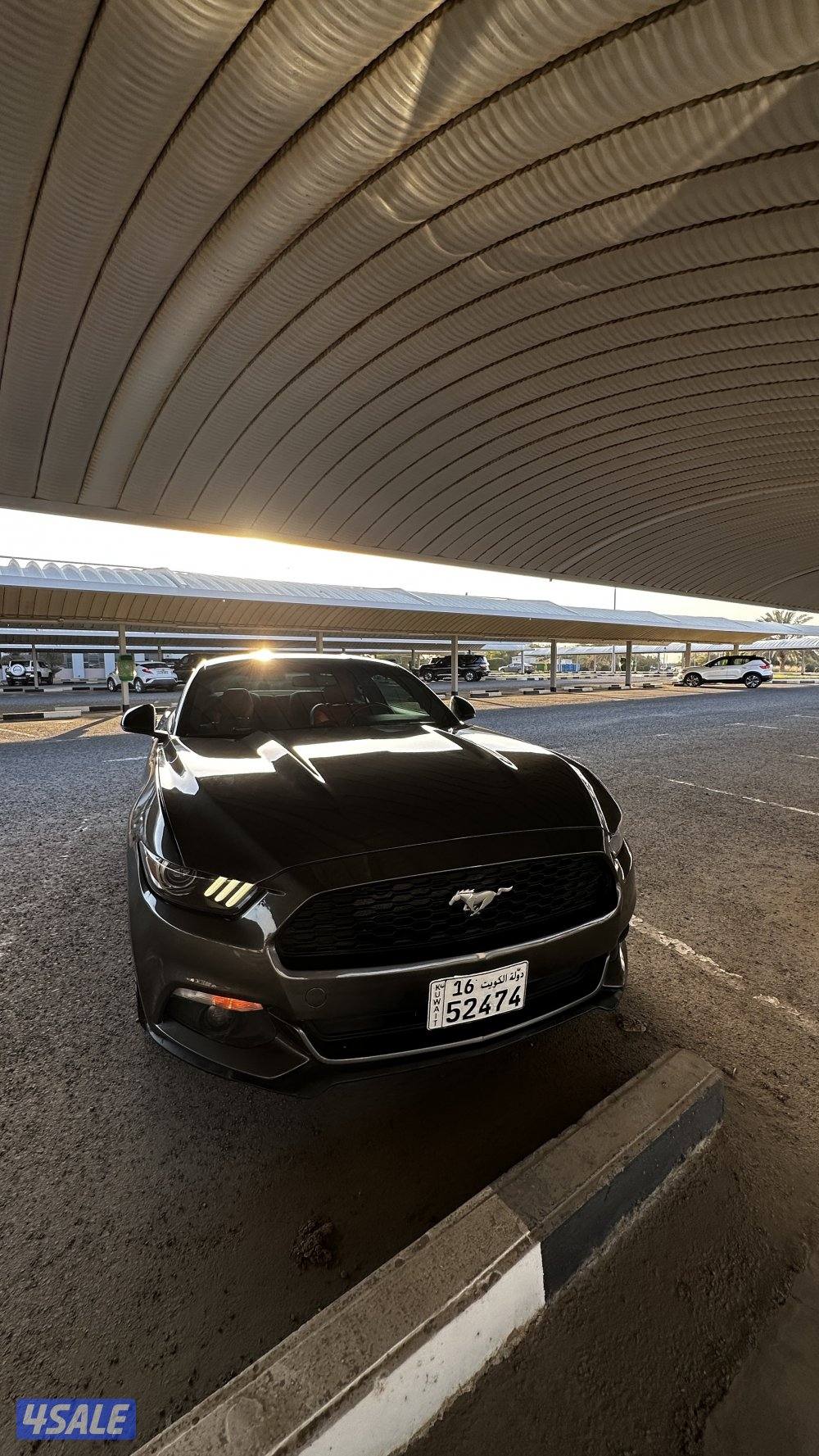 للبيع موستنق 20174