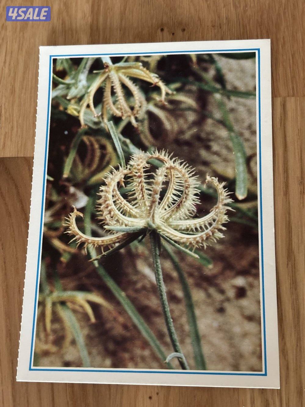 مقتنيات الخطوط الجوية الكويتية لسنة 19934