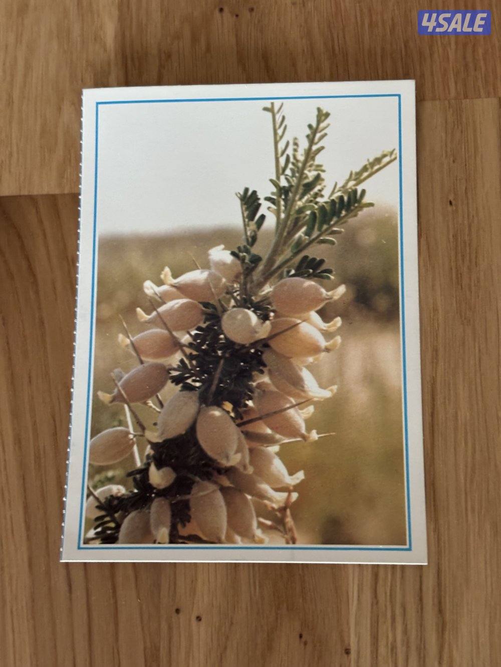 مقتنيات الخطوط الجوية الكويتية لسنة 19935