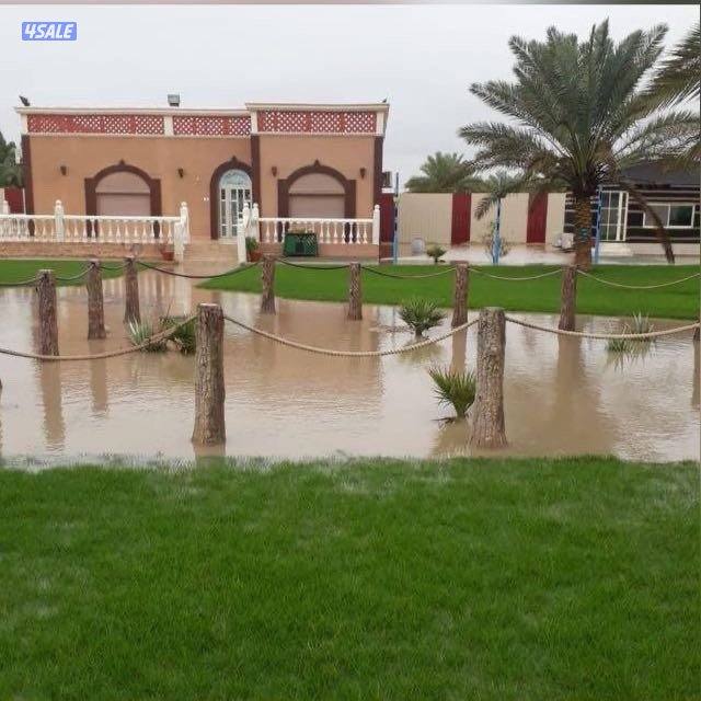 مطلوب قسيمه المسايل الفنيطيس ابوفطيره الفنطاس الزراعي من المالك مباشر0