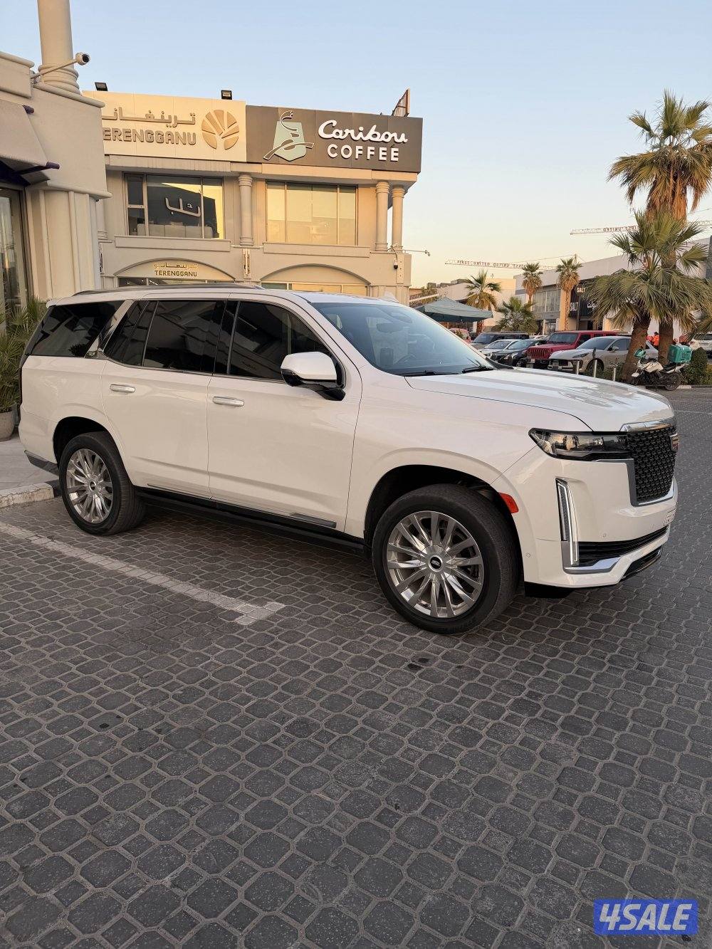 للبيع اسكاليد2