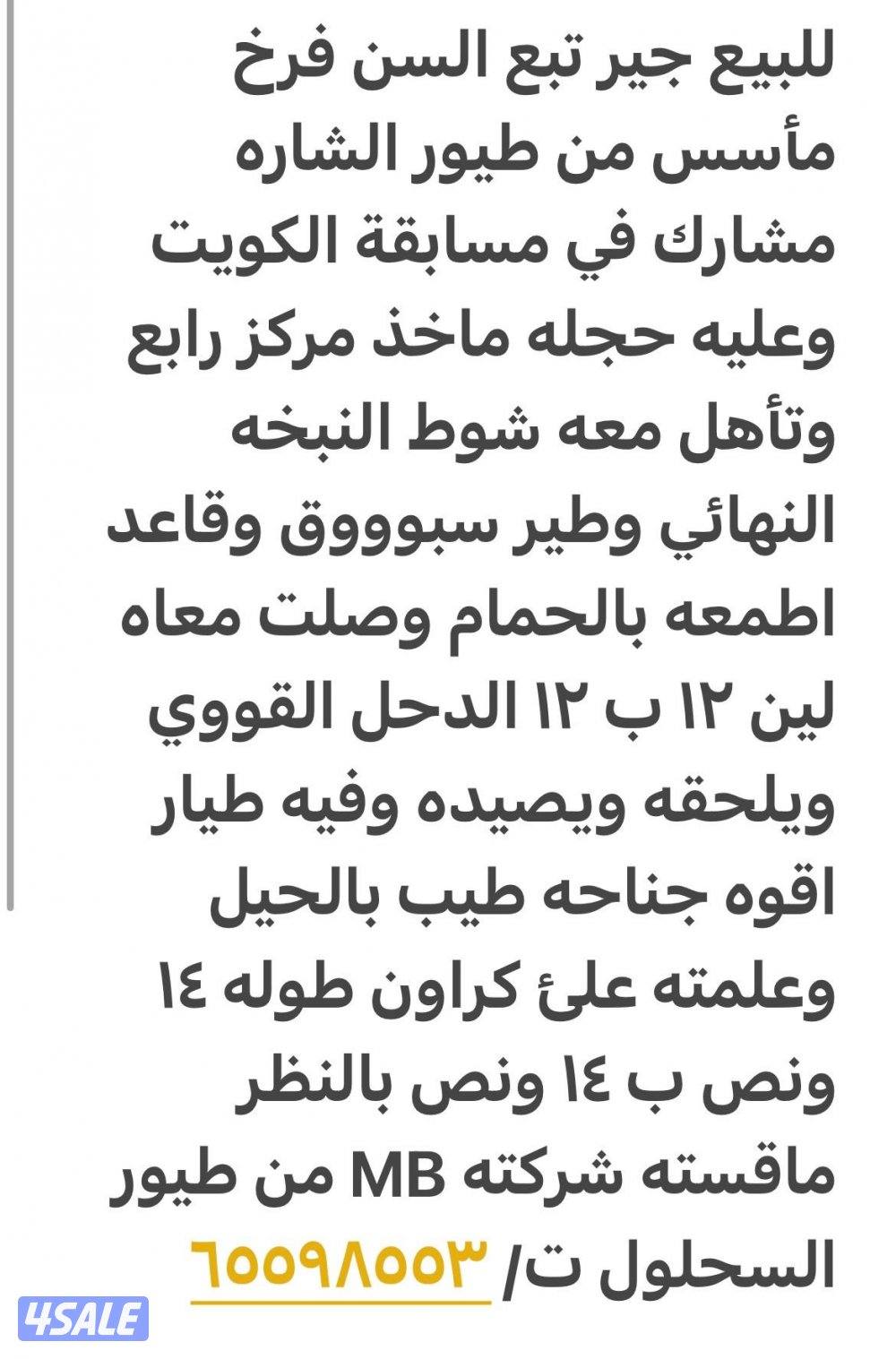 مبارك الكبير1