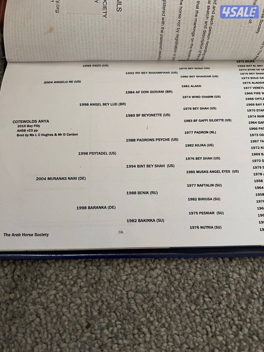 للبيع فرس واهو بولش مستورده4