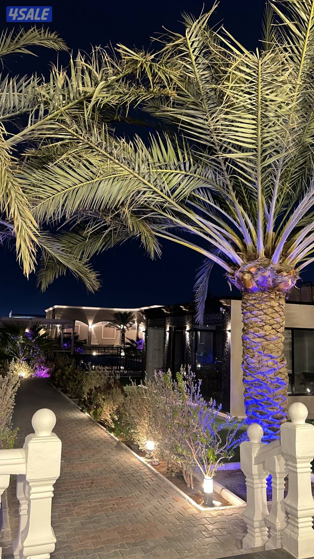 مزرعه للايجار بالوفره جديده طريق 800 VIP0