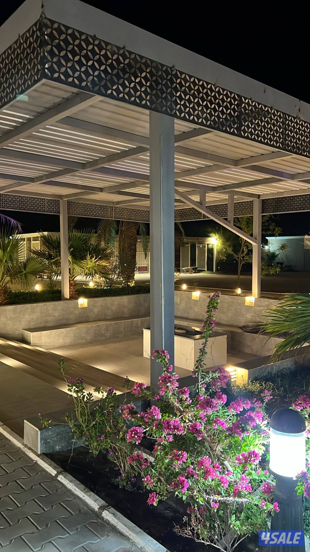 مزرعه للايجار بالوفره جديده طريق 800 VIP1