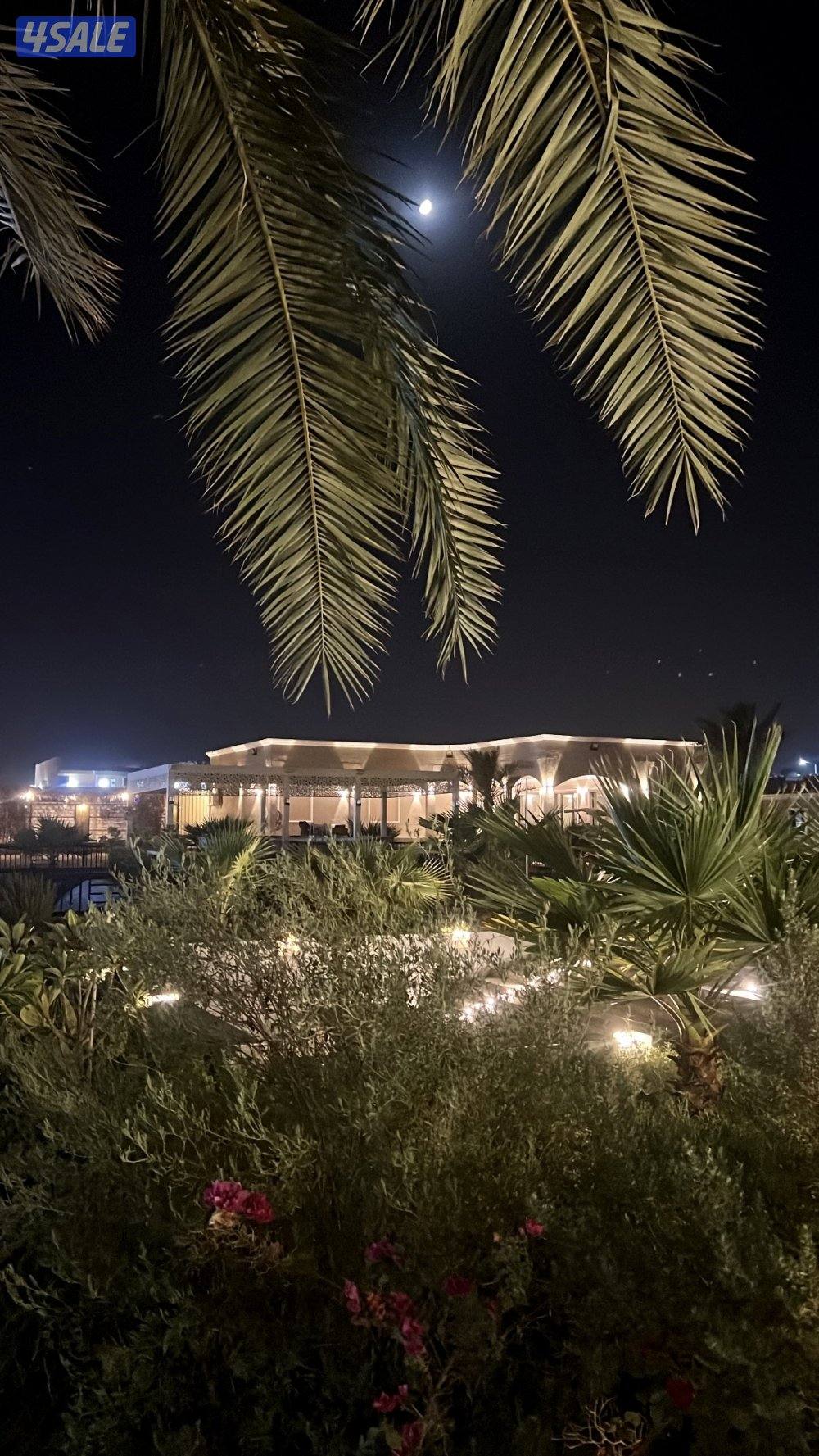 مزرعه للايجار بالوفره جديده طريق 800 VIP3