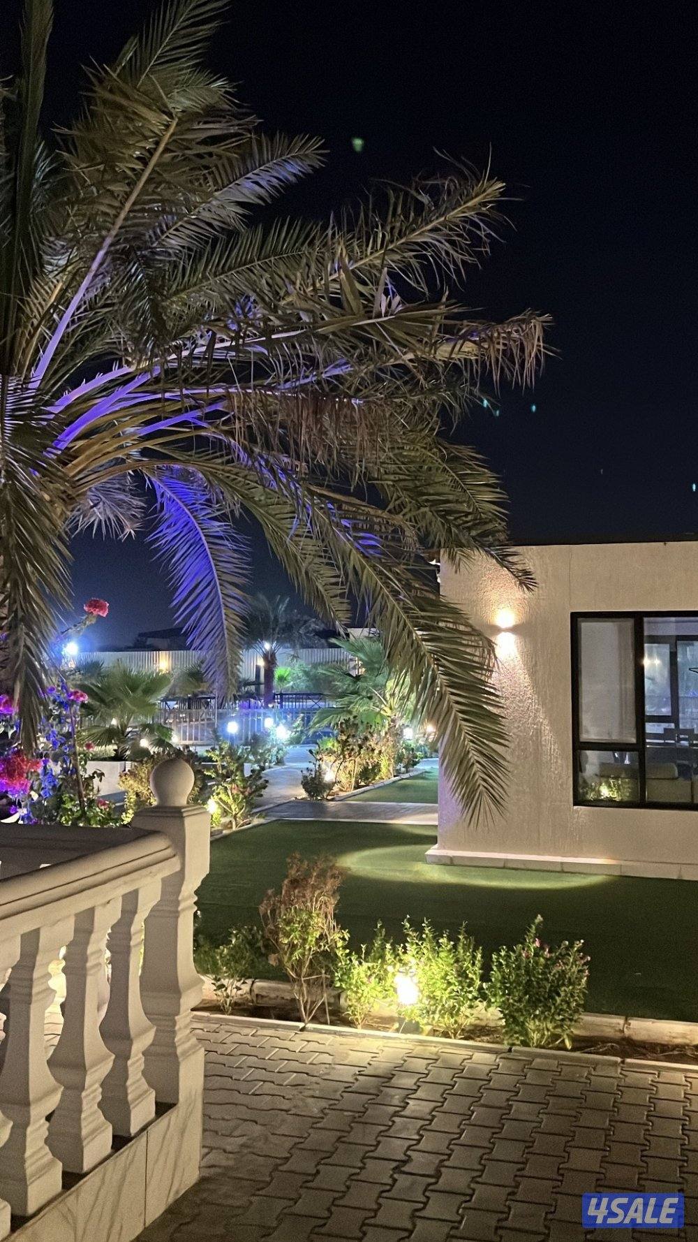 مزرعه للايجار بالوفره جديده طريق 800 VIP7