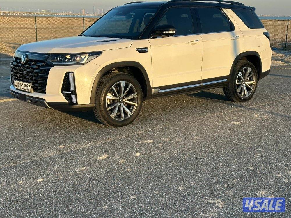 بحاله جداً ممتازه - رويال - 20241