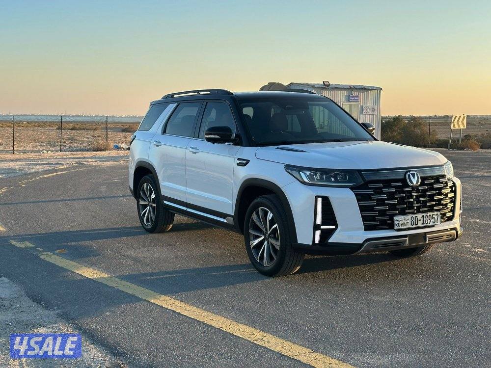 بحاله جداً ممتازه - رويال - 20242