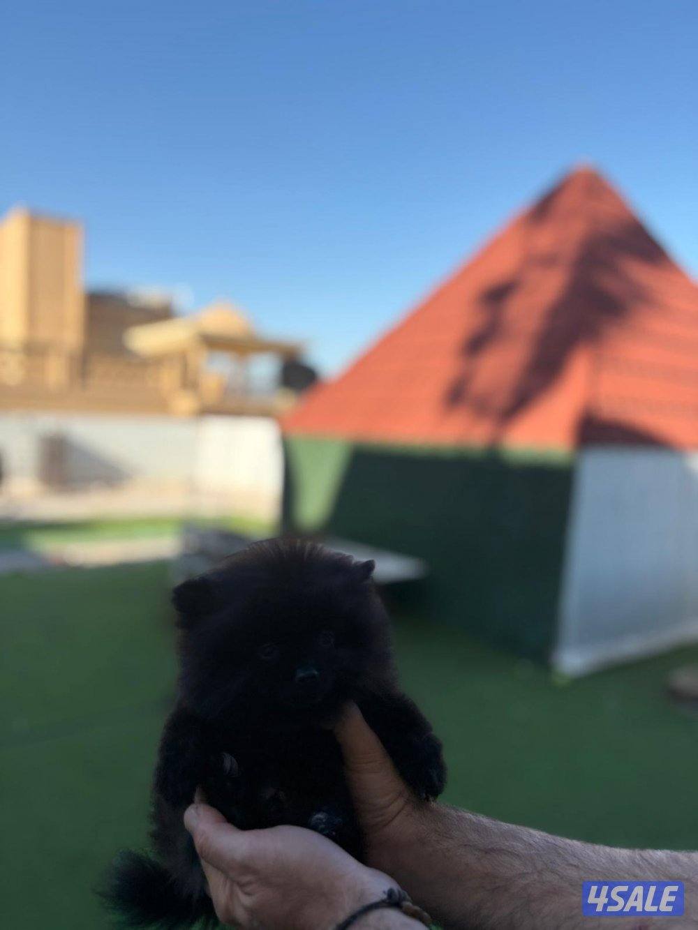 منطقه سلوي0