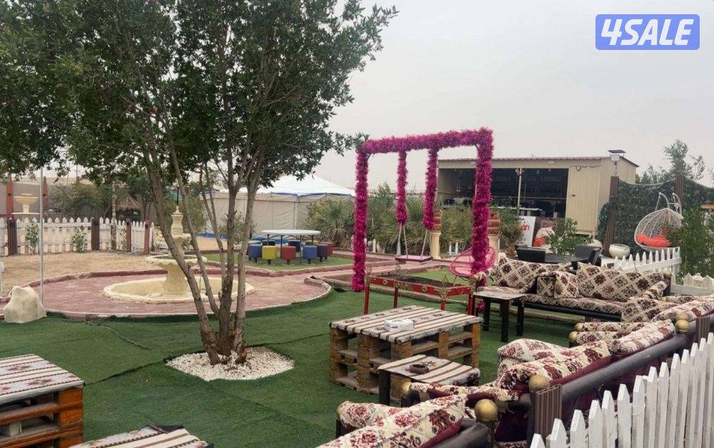 مخيم الاماكن🌟 في الجهرا11