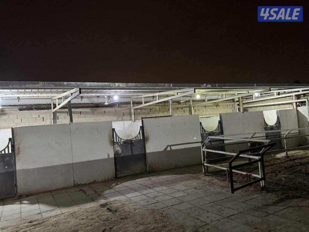 للإيجار جاخور شهري0